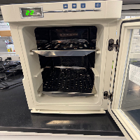 Thermo Low Temp Incubator image 0